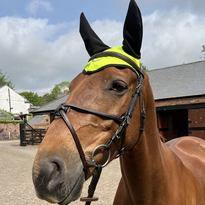 Hi-Viz Ear Bonnet
