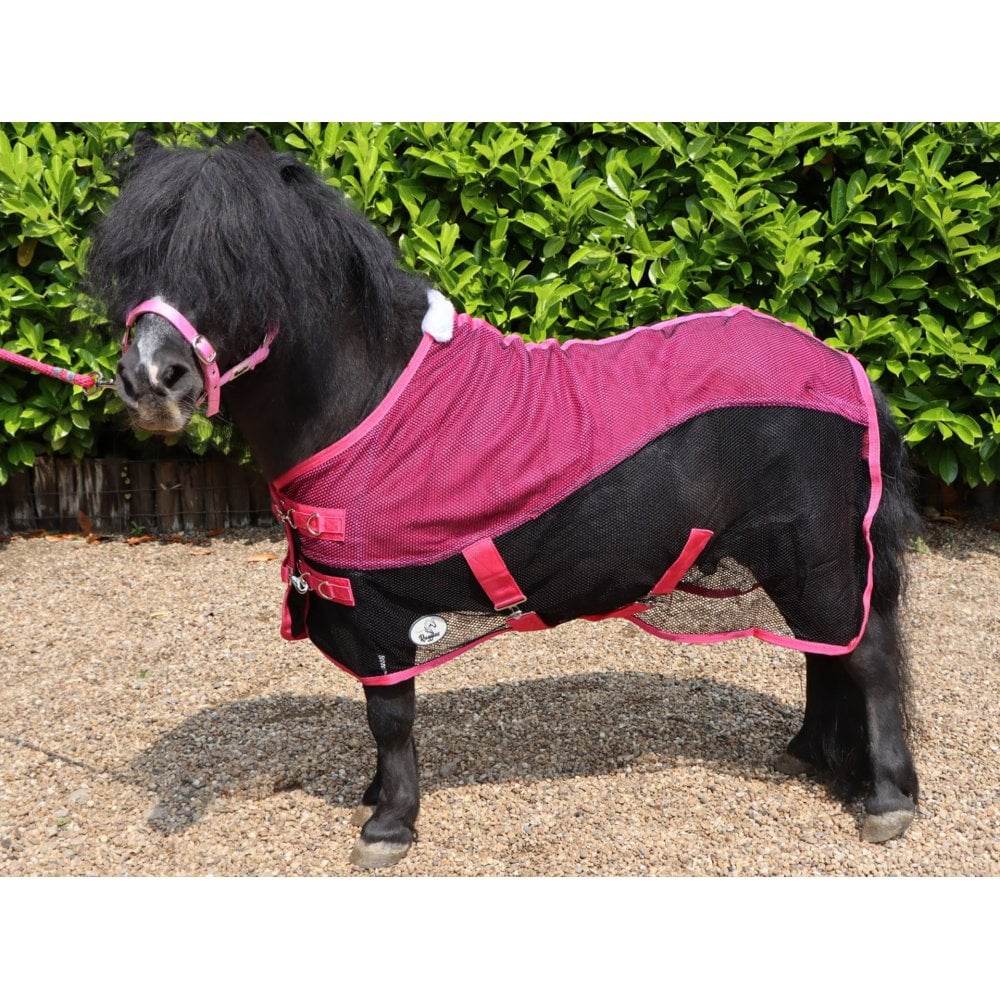Shetland-Miniature-Donkey Mesh Cooler Rug
