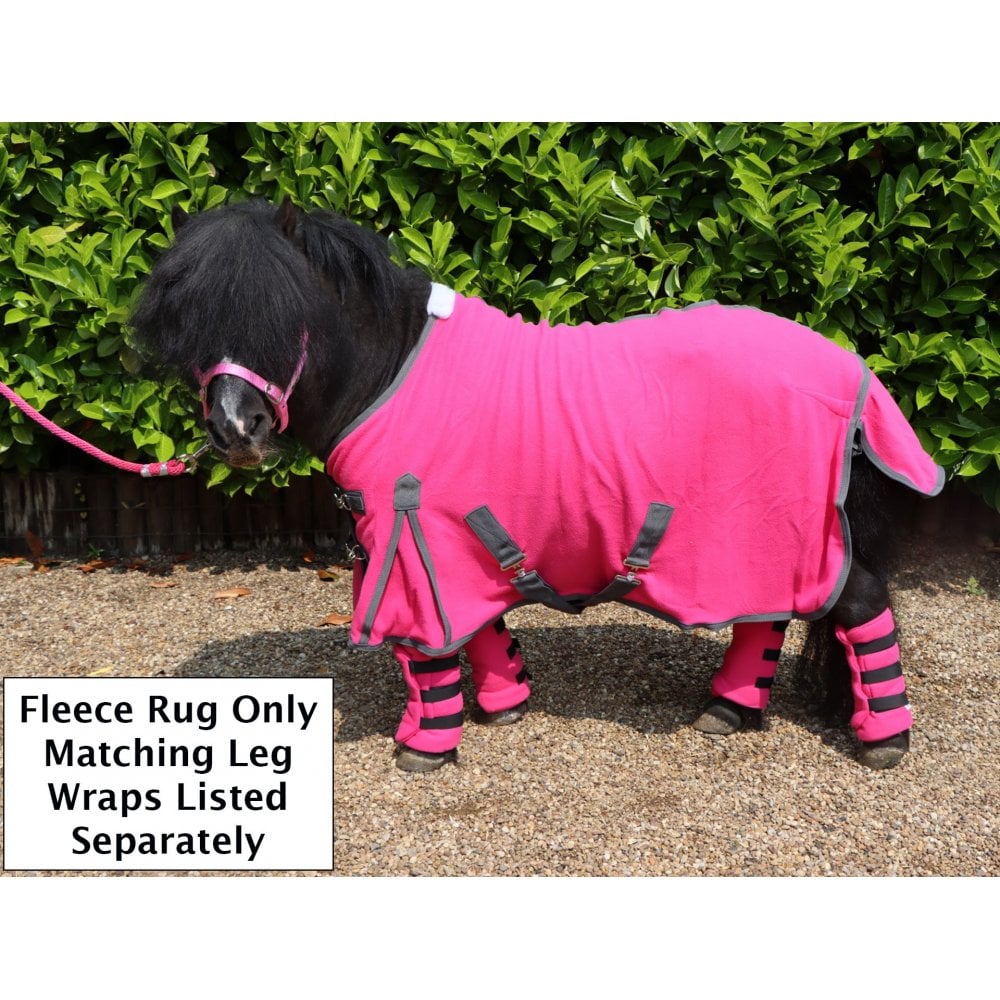 Shetland-Miniature-Donkey-Section A Polar Fleece Rug
