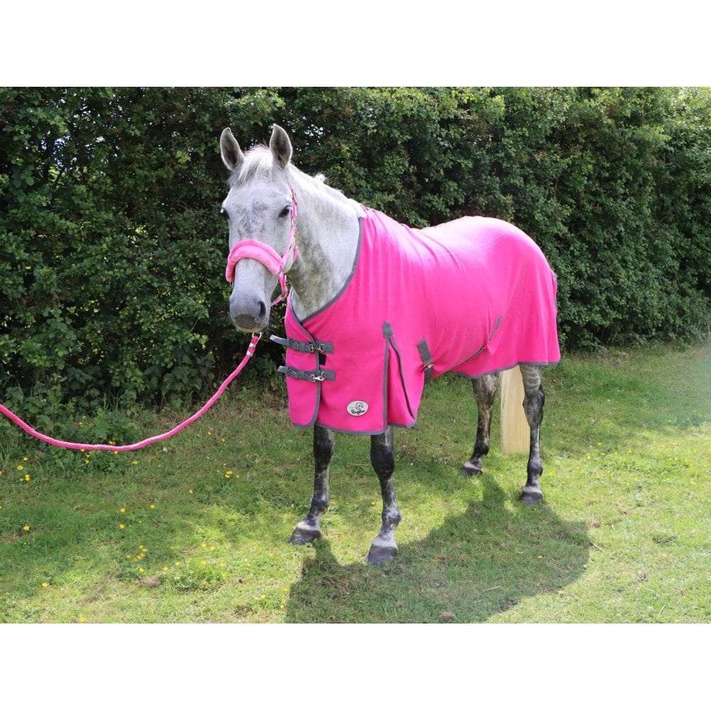 Polar Fleece With Tail Flap And Shoulder Gussets - Pink / Sky Blue