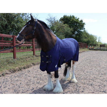 Heavy Horse Cotton Sheet With Tail Flap