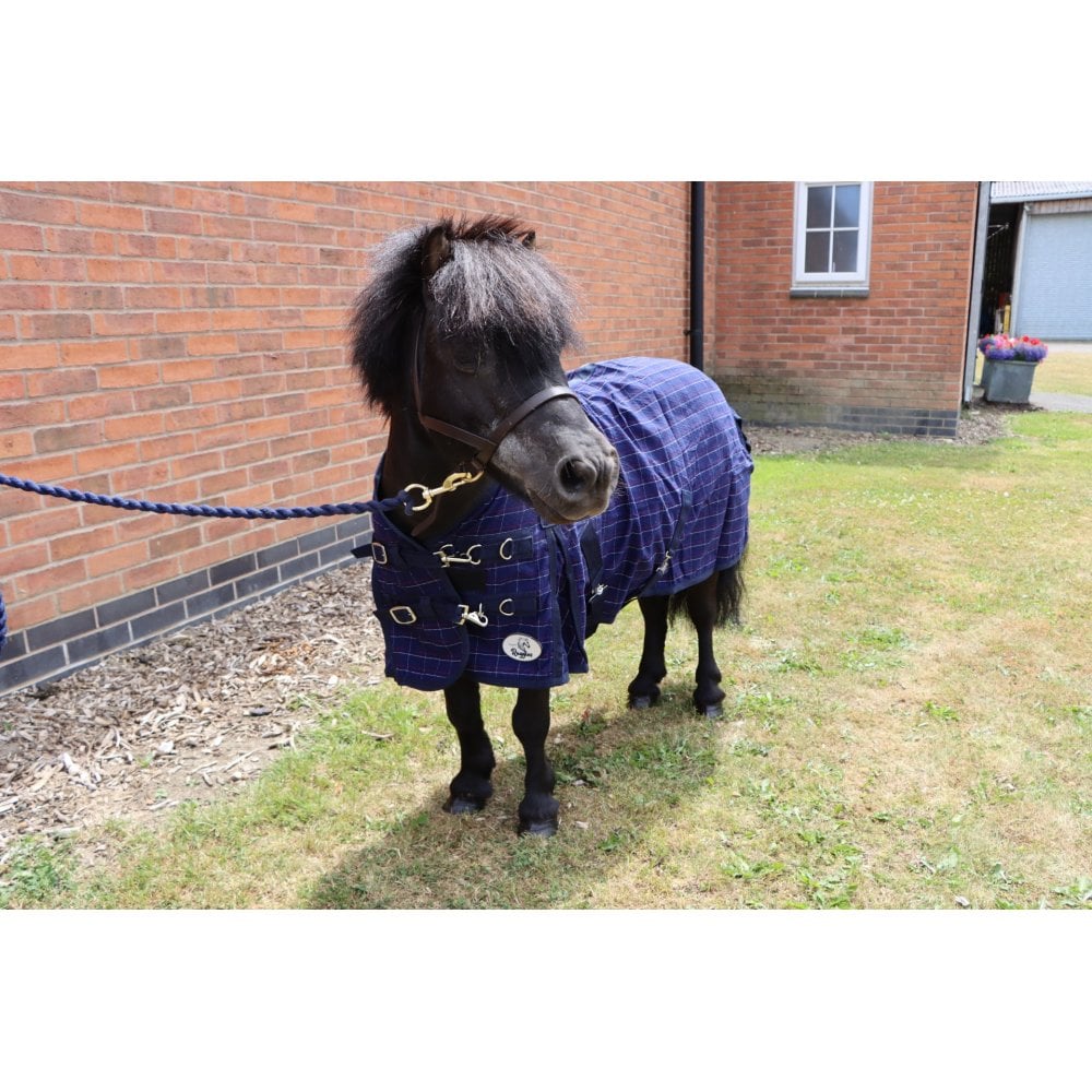 Shetland-Miniature-Donkey Cotton Sheet