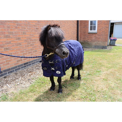 Shetland-Miniature-Donkey Cotton Sheet