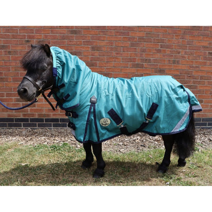 Shetland-Miniature Combo Turnout 50g