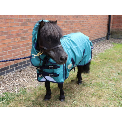 Shetland-Miniature Combo Turnout 50g