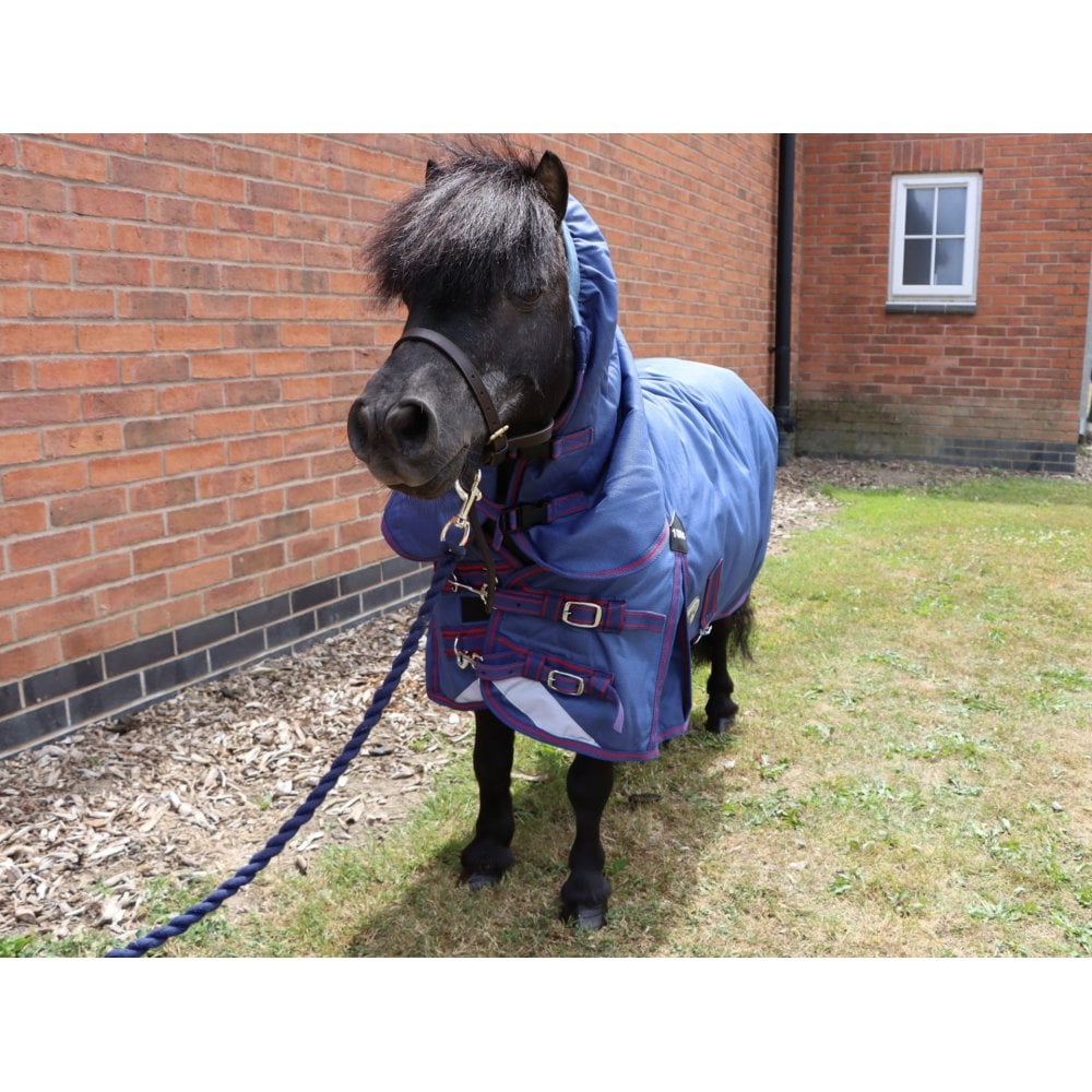 Shetland-Miniature-Donkey-Section A 100g Combo Turnout Rug