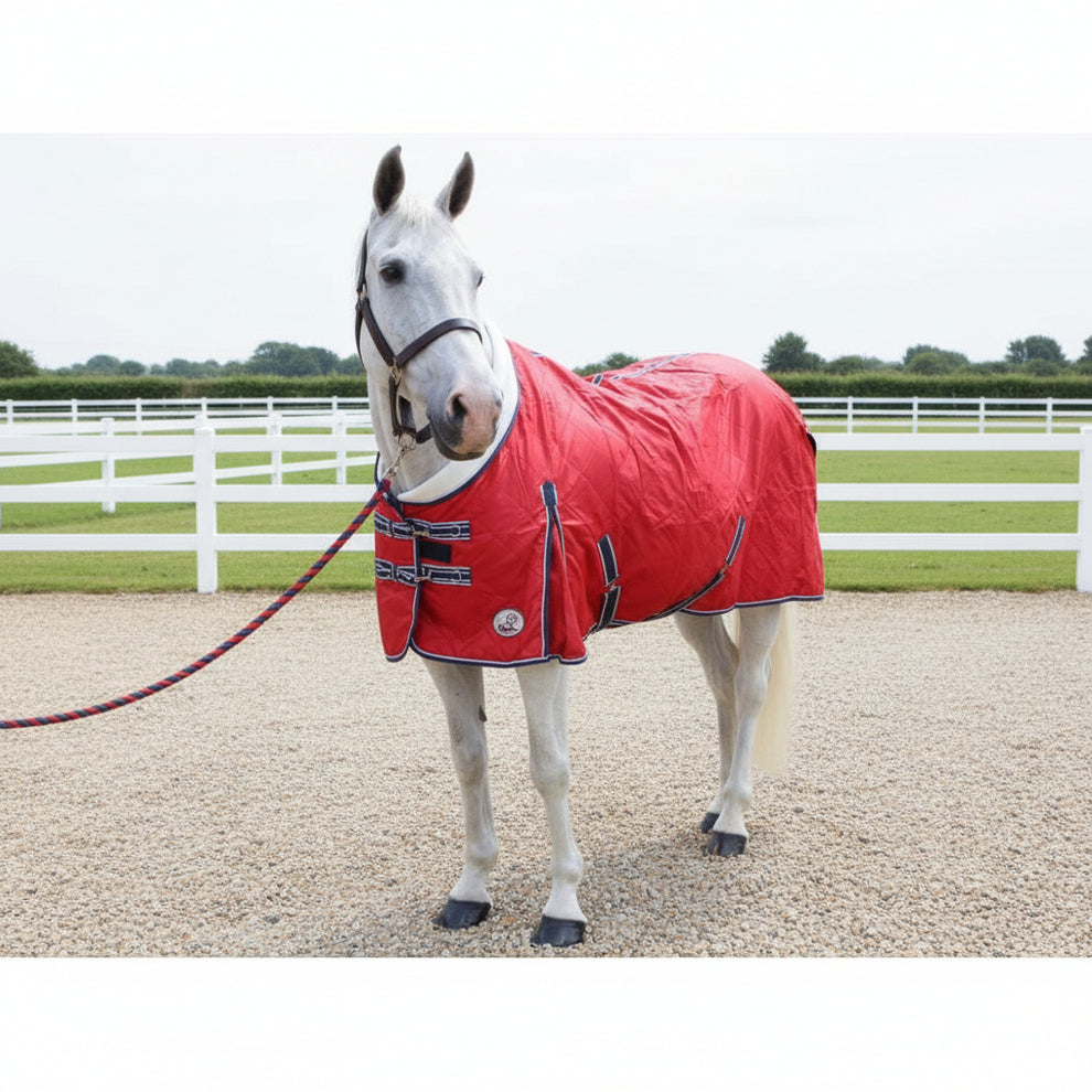 50g Lightweight Stable Rug With Fleece Collar – Ruggles Equestrian