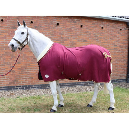 Horse and Pony Show Fleece Rug
