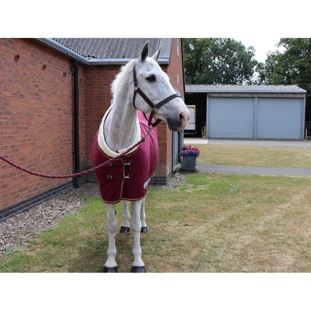 Horse and Pony Show Fleece Rug