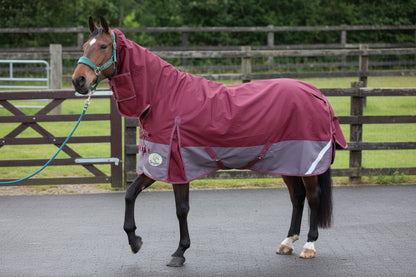 No Fill Lightweight Combo Turnout Rug