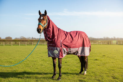 No Fill Lightweight Combo Turnout Rug