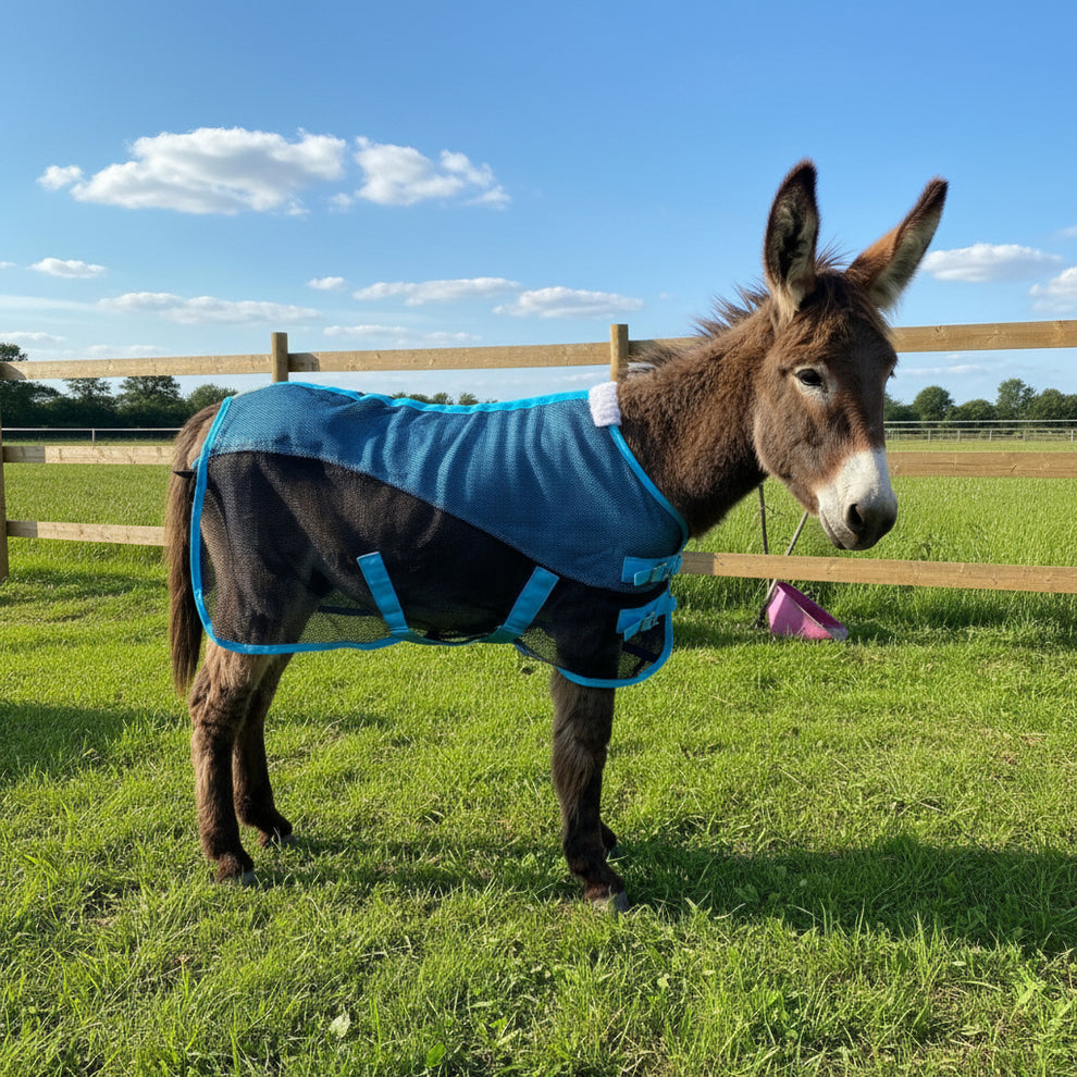 Shetland-Miniature-Donkey Mesh Cooler Rug – Ruggles Equestrian
