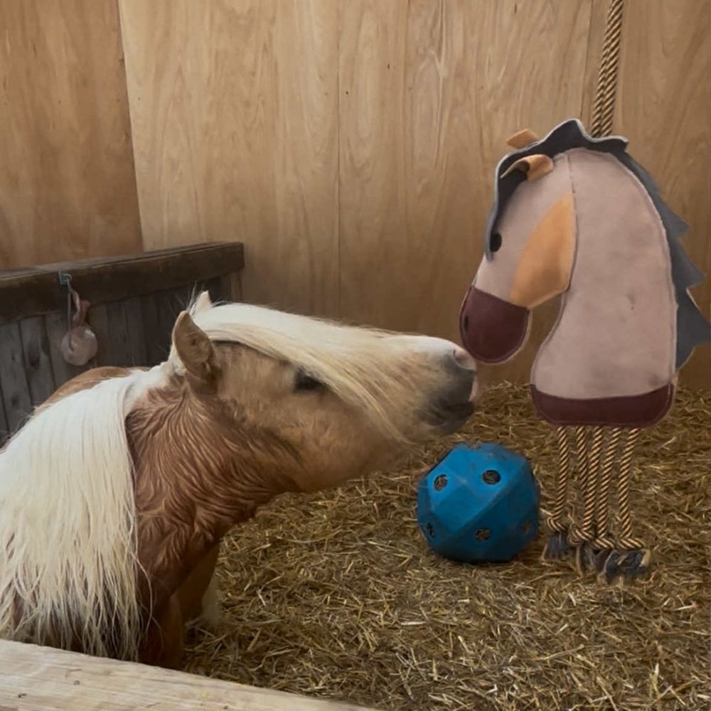 Horse Toy - Pony With Legs