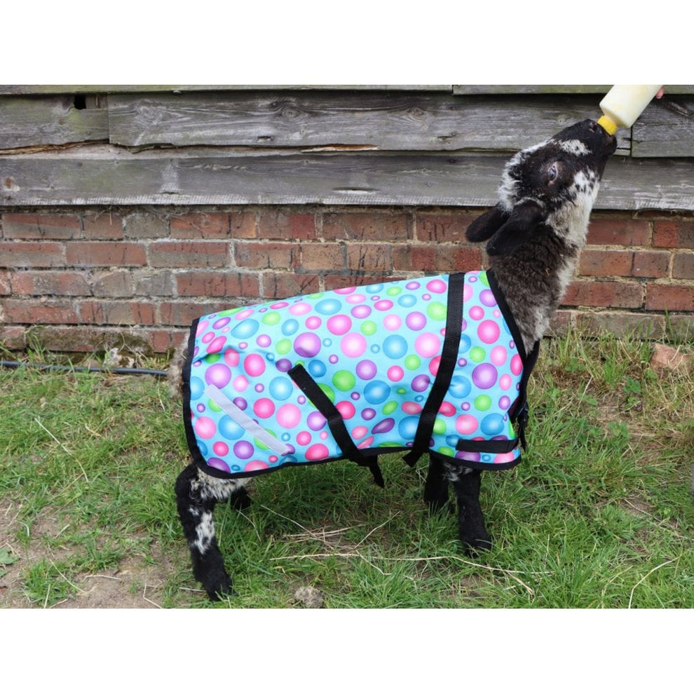 Sheep Rug – Ruggles Equestrian