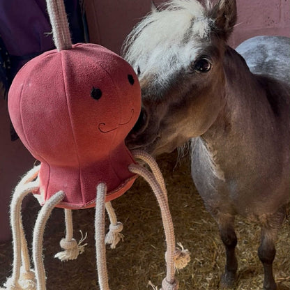 Horse Toy- Ollie Octopus