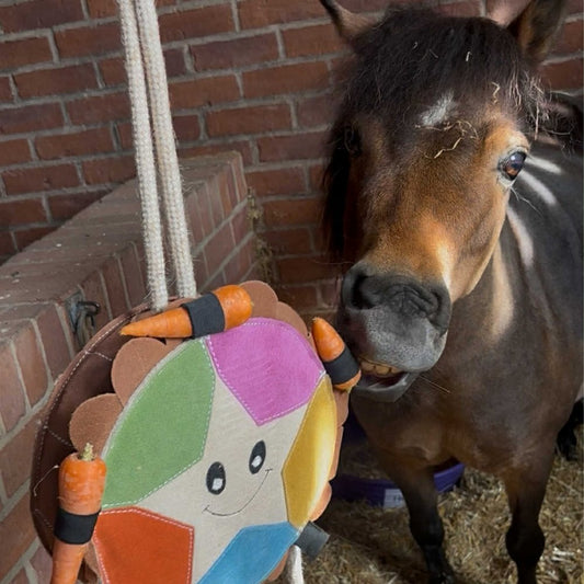 Horse Toy - Carrot Cake