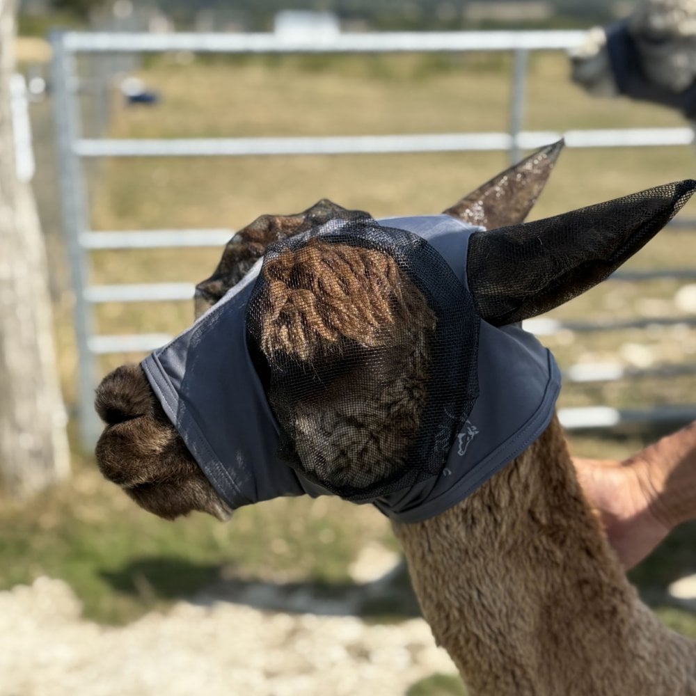 Lycra Pull On Fly Mask With Ears for Alpacas and Sheep