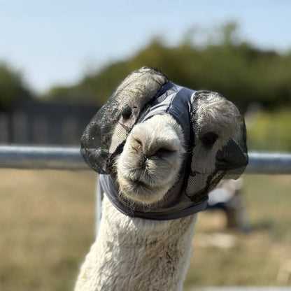 Lycra Pull On Fly Mask With Ears for Alpacas and Sheep