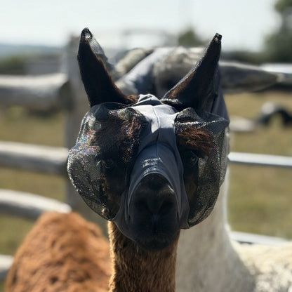 Lycra Pull On Fly Mask With Ears for Alpacas and Sheep