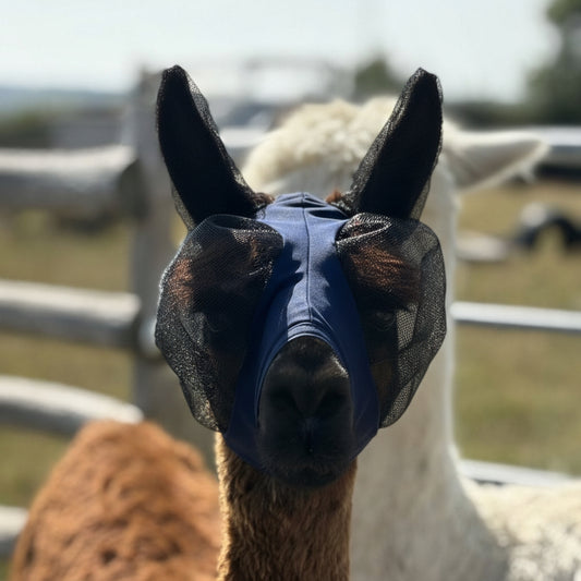 Lycra Pull On Fly Mask With Ears for Alpacas and Sheep