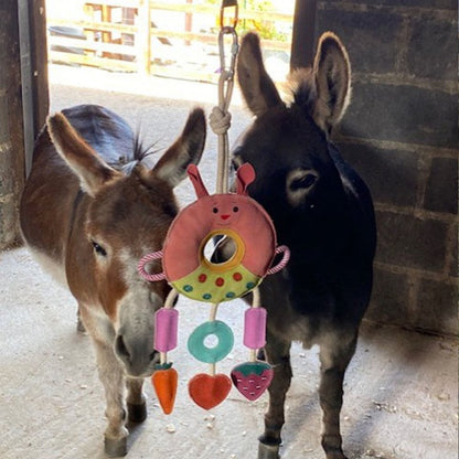 Horse Toy - Multi Ring