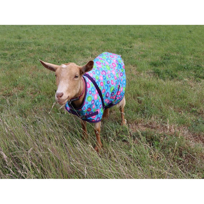 Goat Coat