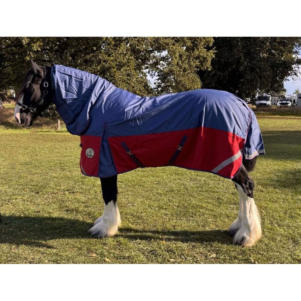 Heavy Horse 100g Combo Turnout Rug