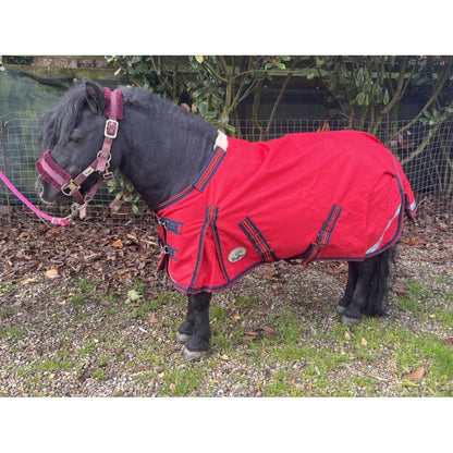 Shetland-Miniature-Donkey-Section A 50g V2 Turnout Rug