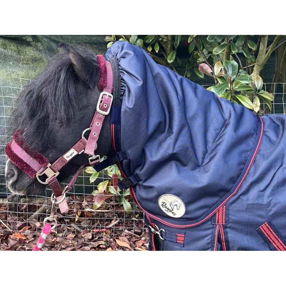 Shetland-Miniature-Donkey-Section A 100g V2 Neck Cover Only (Matching Rug Available Separately)