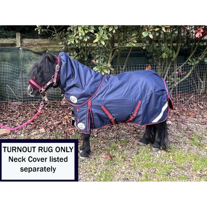 Shetland-Miniature-Donkey-Section A 100g V2 Turnout Rug