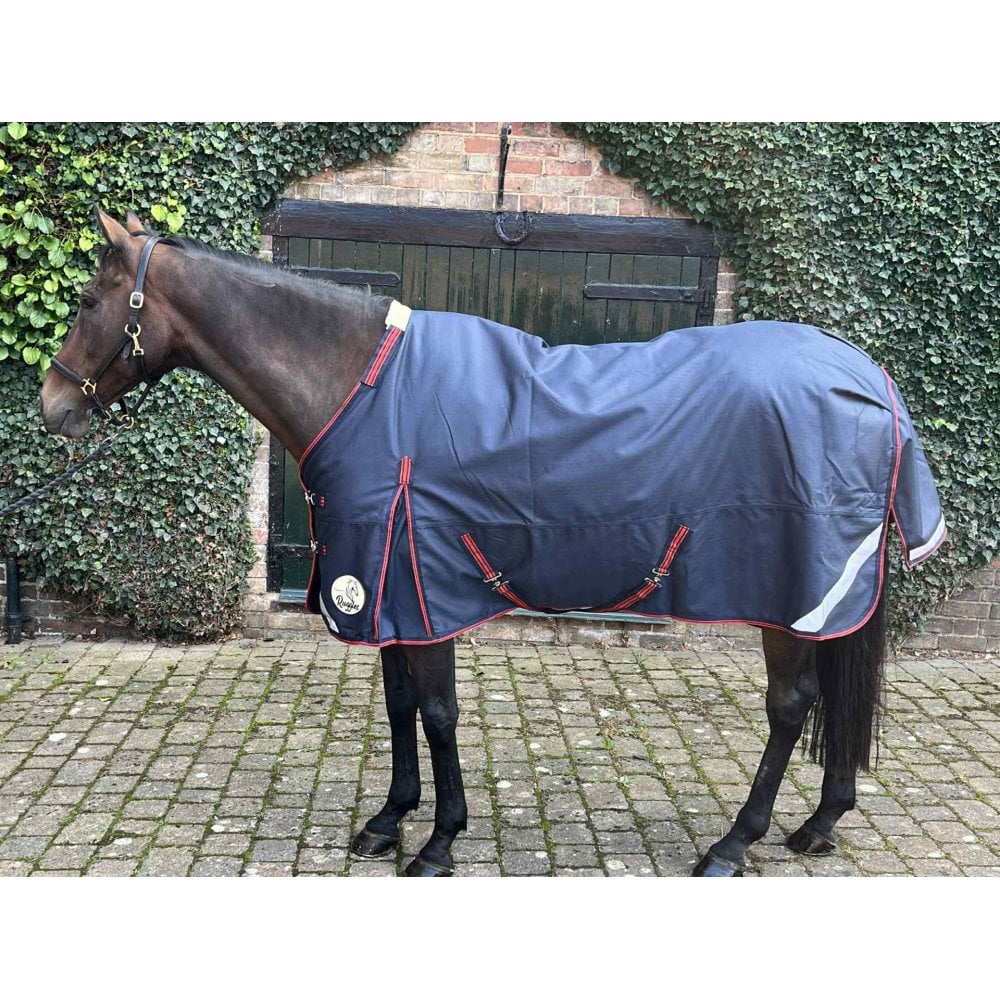 100g Standard V2 Turnout Rug