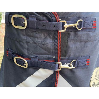 100g Standard V2 Turnout Rug