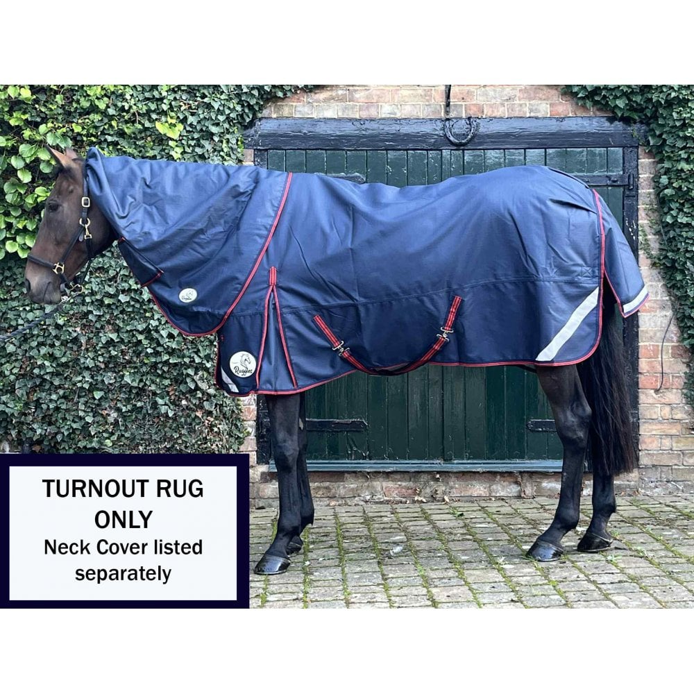 100g Standard V2 Turnout Rug