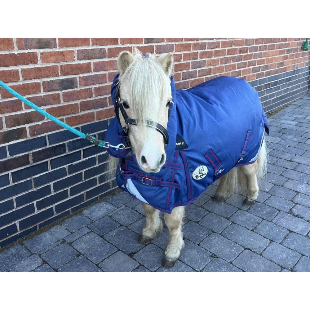 Shetland-Miniature-Donkey-Section A Middleweight 280g Combo Turnout Rug