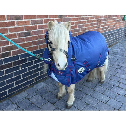 Shetland-Miniature-Donkey-Section A Middleweight 280g Combo Turnout Rug