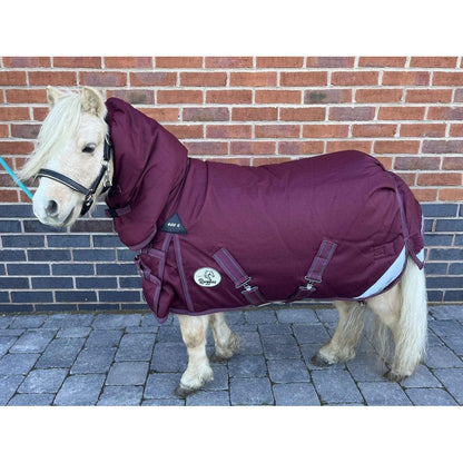 Shetland-Miniature-Donkey-Section A 400g Heavyweight 1200D Combo Turnout