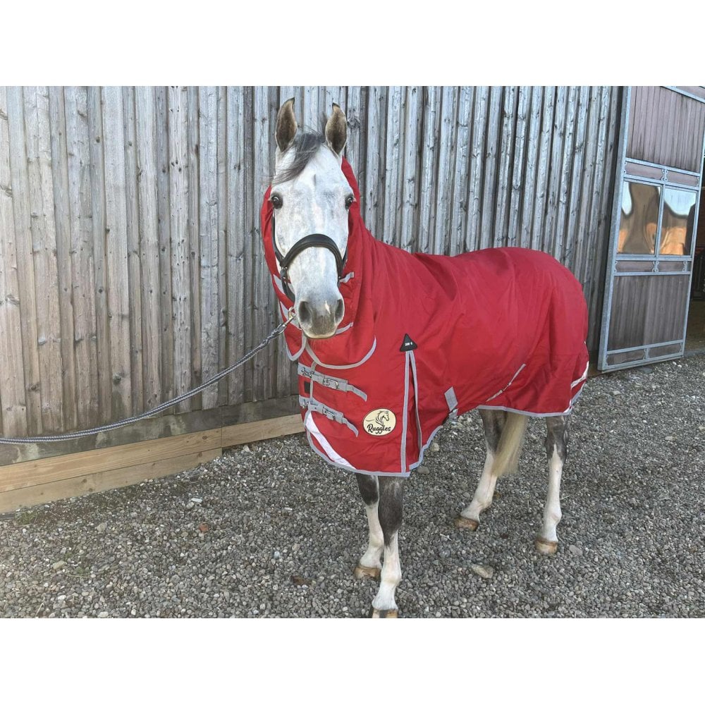 200g Middleweight Combo 1200D Turnout Rug