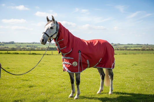 200g Middleweight Combo 1200D Turnout Rug