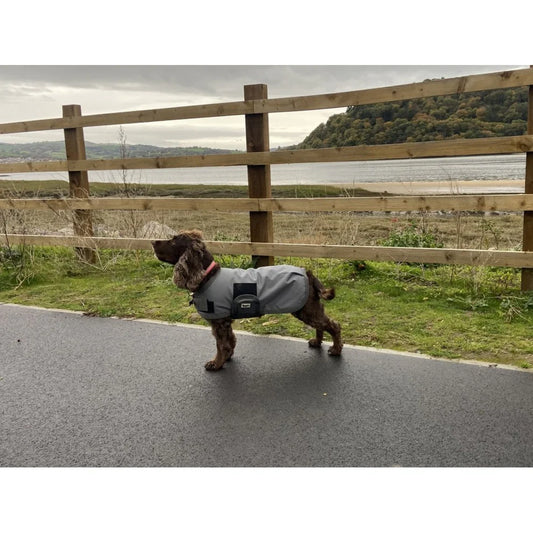 Shop Soiled Dog Coat