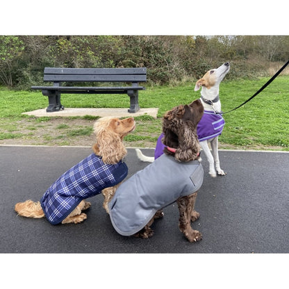Waterproof Dog Coat