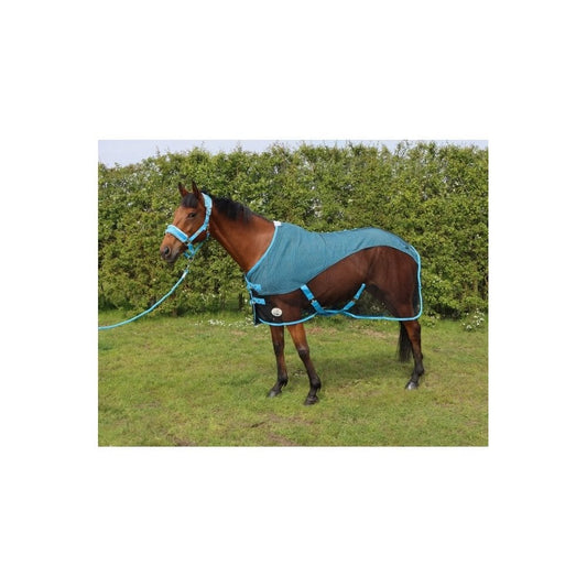 Shop Soiled Mesh Cooler - Sky