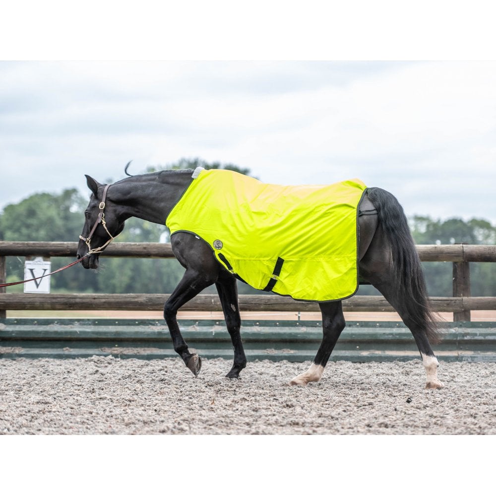 Hi Viz Fleece Lined Walker Rug With Reflective Stitching