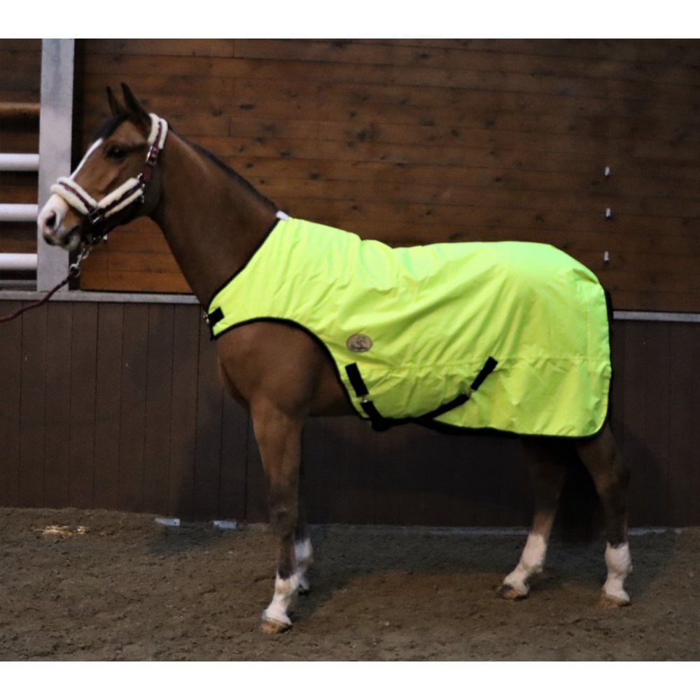 100g Hi Viz Walker Rug With Reflective Stitching
