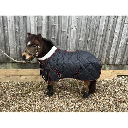 Shetland-Miniature-Donkey-Section A 400g Stable Rug