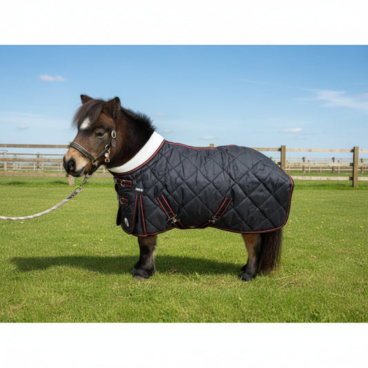 Shetland-Miniature-Donkey-Section A 400g Stable Rug