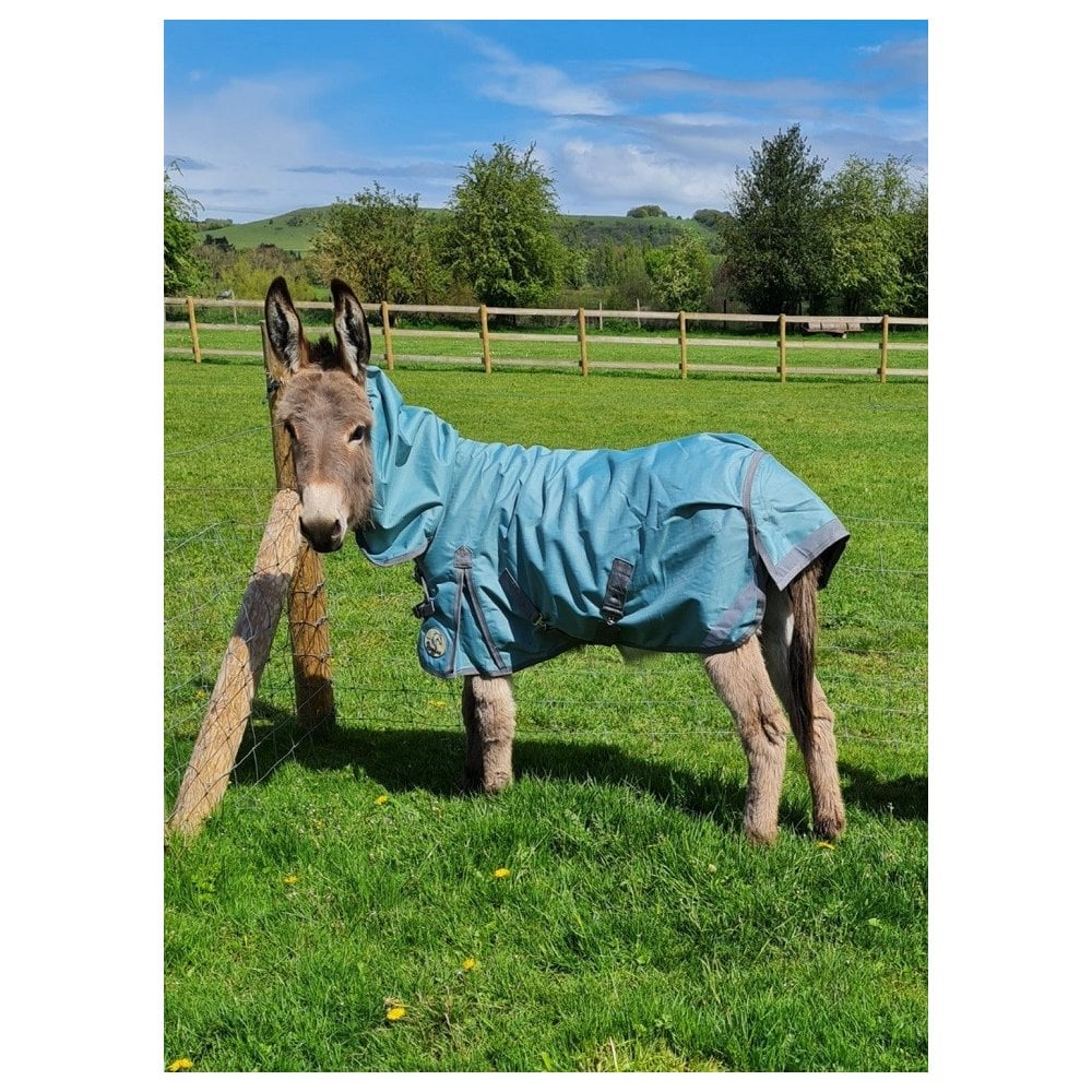 Shetland-Miniature-Donkey-Section A Lightweight No Fill Combo Turnout Rug - Clearance
