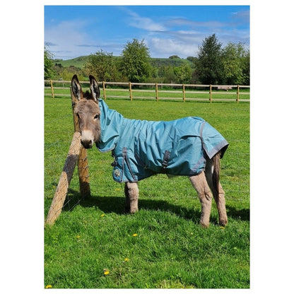 Shetland-Miniature-Donkey-Section A Lightweight No Fill Combo Turnout Rug - Clearance