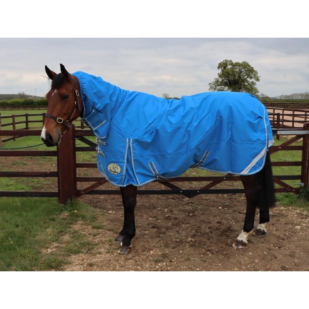 100g Combo Turnout Rug - Clearance