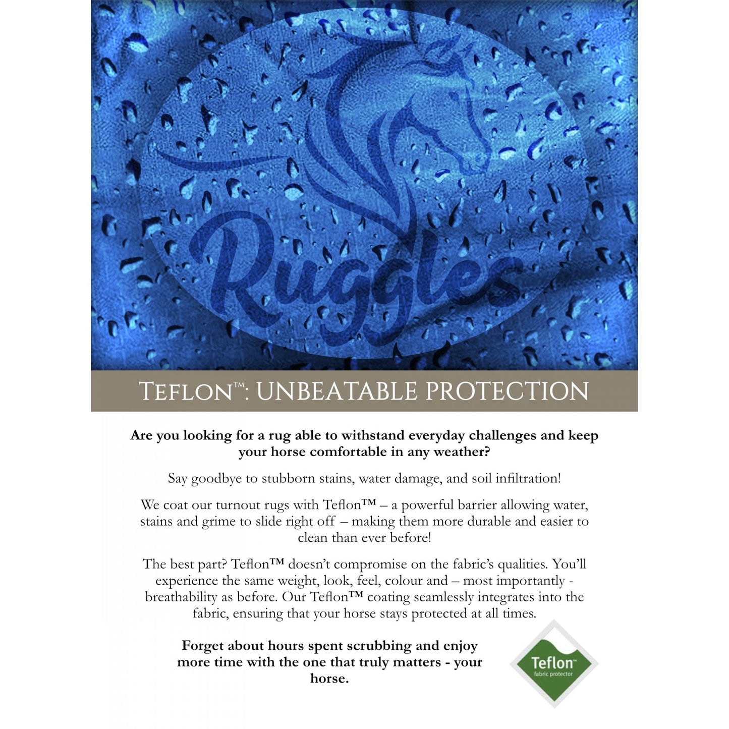 100g Combo Turnout Rug - Clearance