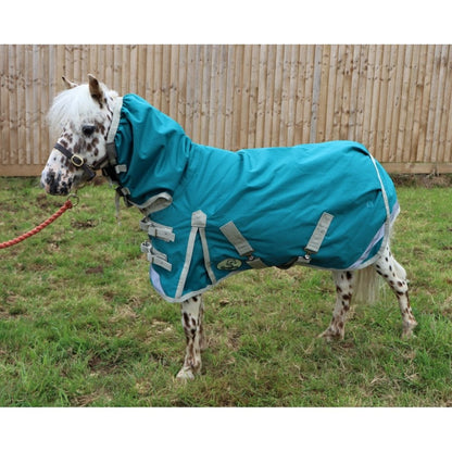 Shetland-Miniature Combo Turnout 50g - Clearance